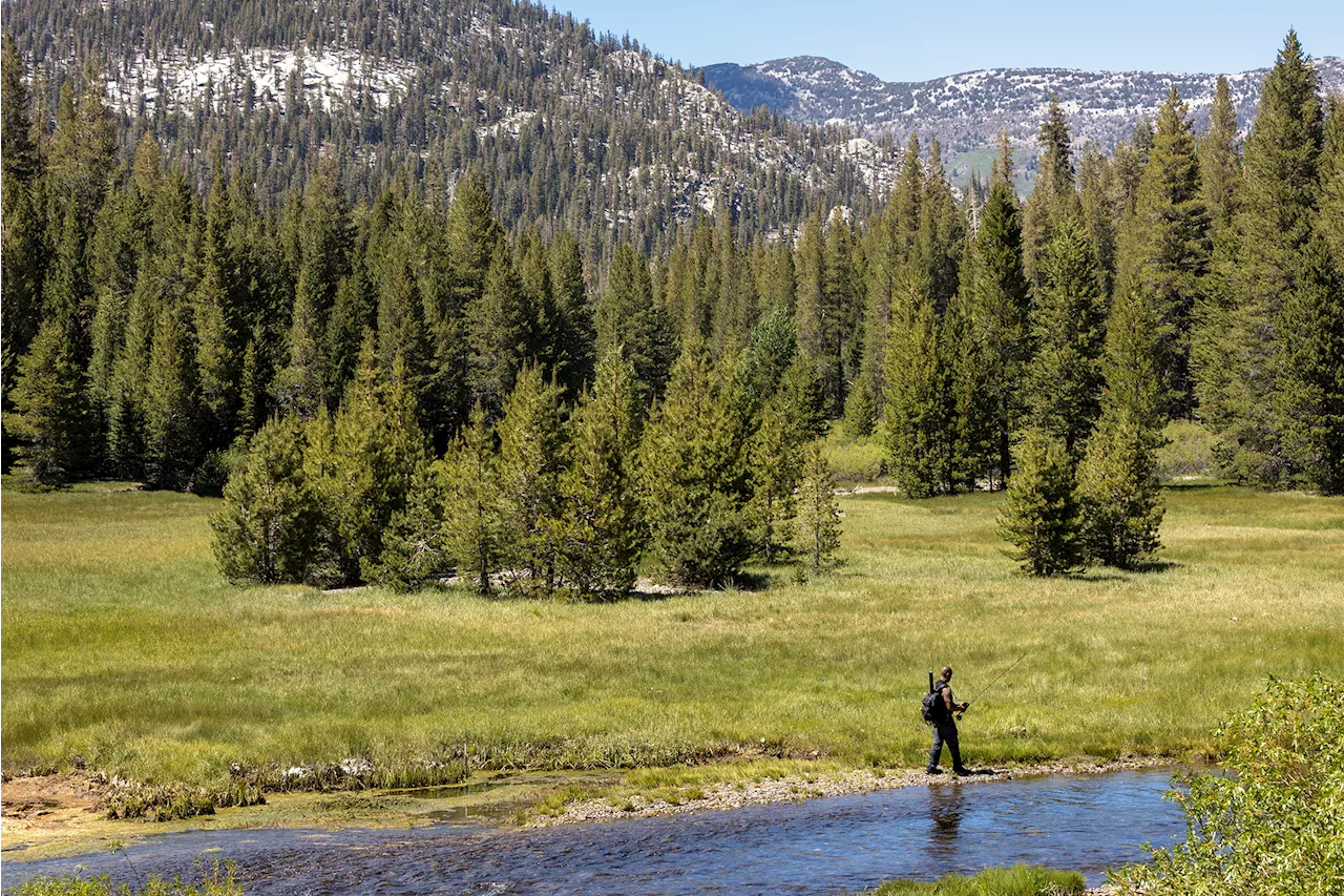 Why mountain meadows should be a priority for California’s new climate bond