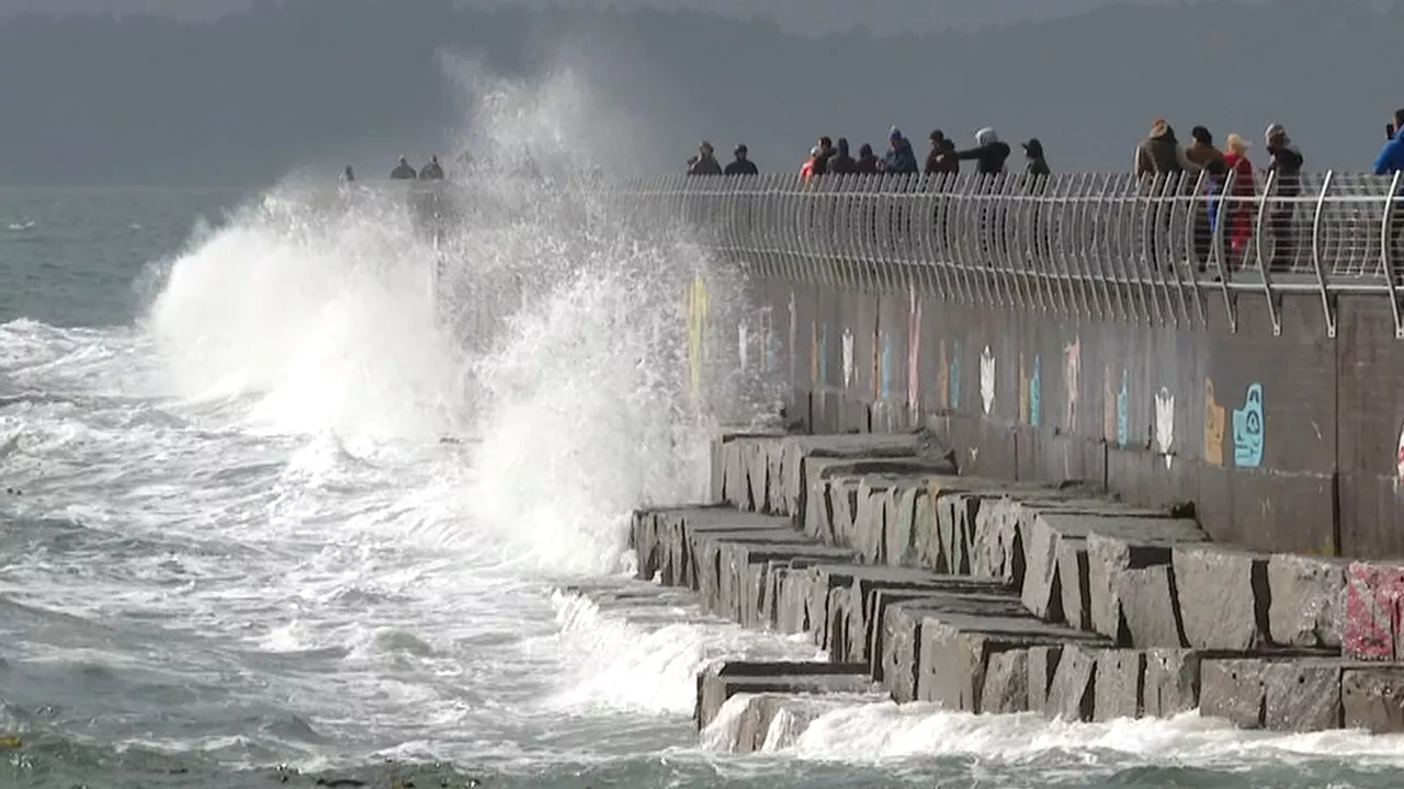 Thousands of Islanders without power Boxing Day, wind warnings remain