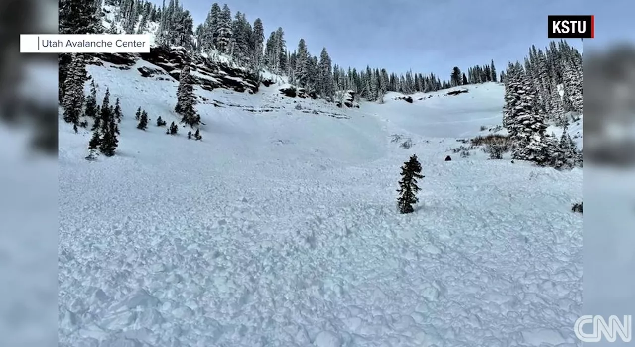 Homem nos EUA provoca avalanche e salva irmão enterrado sob a neve