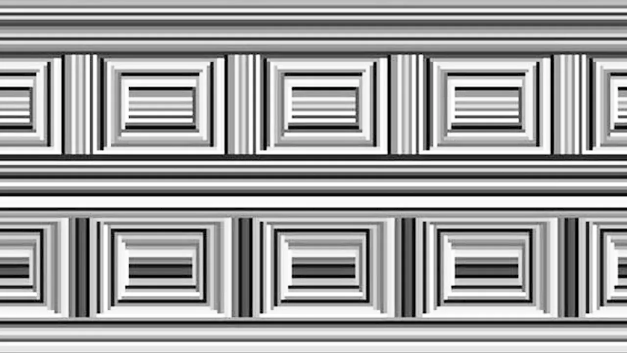 Can You Spot the 16 Circles in This Optical Illusion?