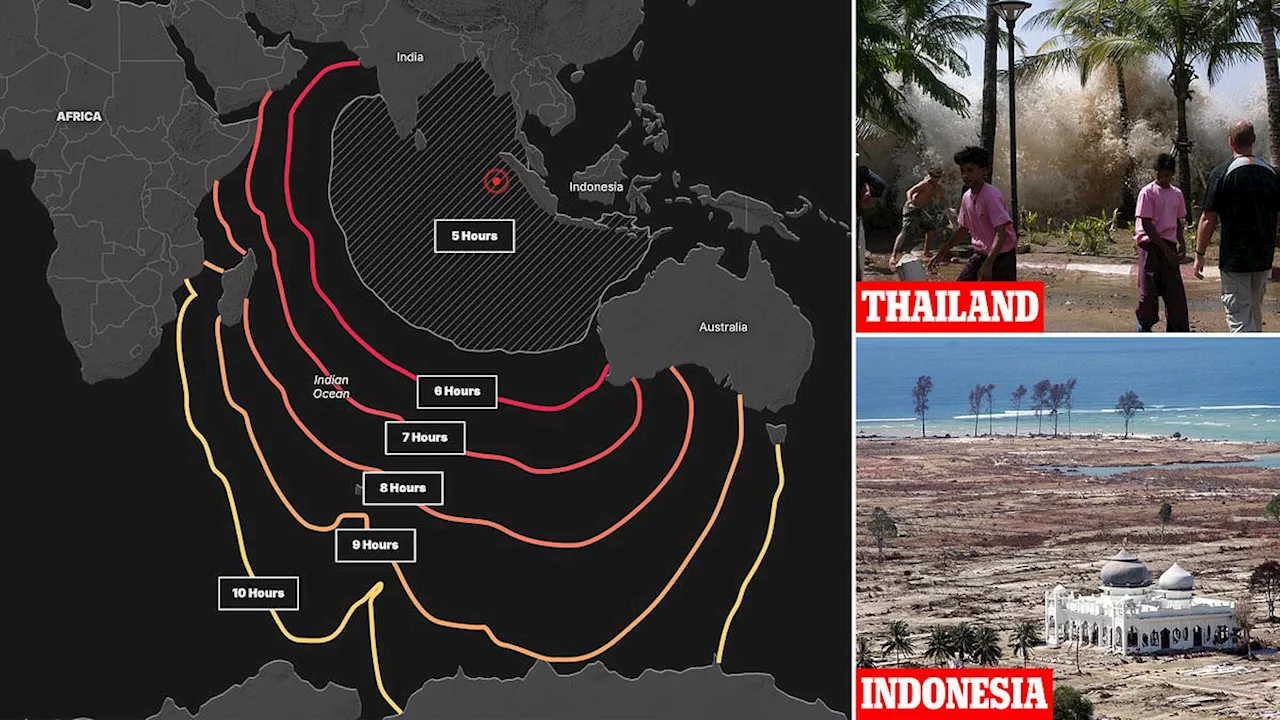 The worst tsunami in history, hour by hour: How 230,000 people were wiped out in a matter of hours....