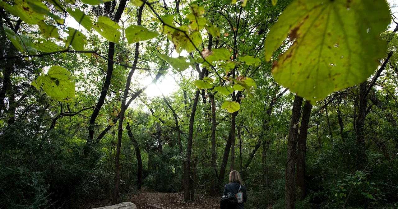 First Day Hikes in Texas for a Healthy New Year