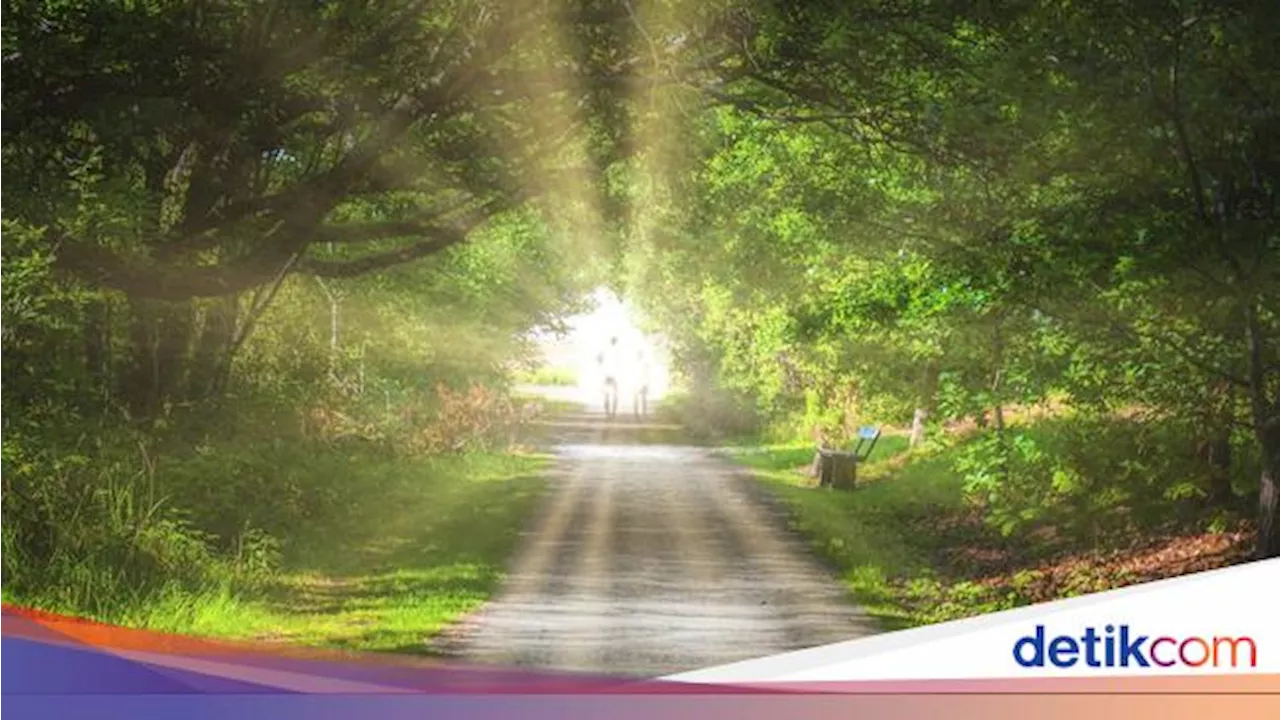 Rahmat Allah dan Iman sebagai Kunci Masuk Surga