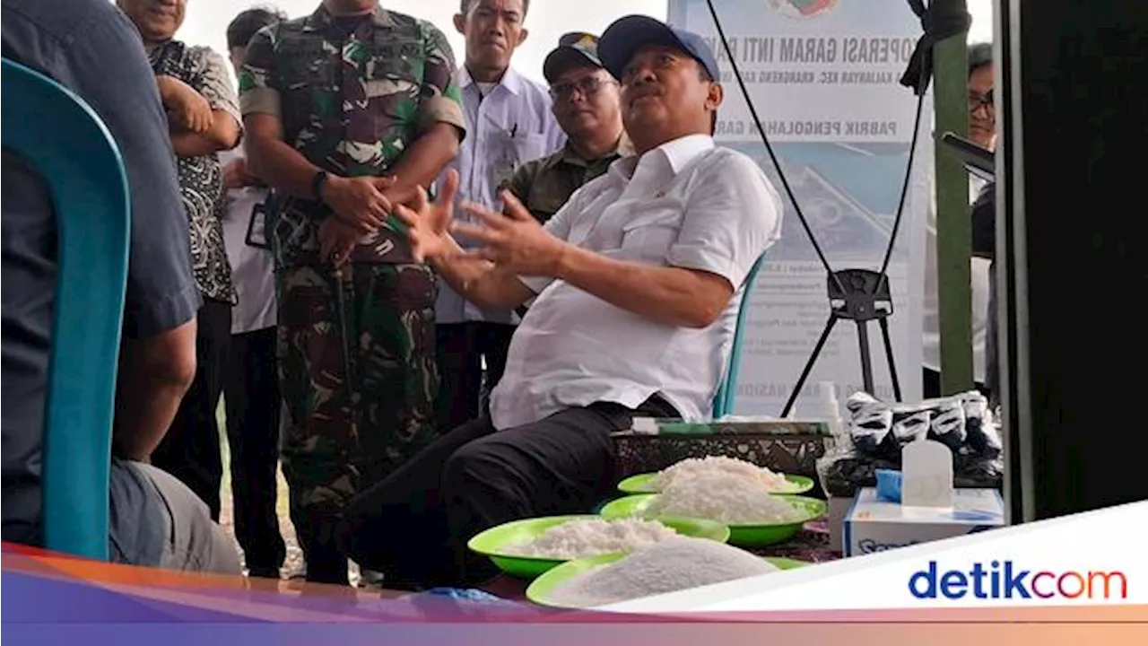 Harga Garam yang Gak Karuan, Begini Kata Menteri Wahyu Trenggono