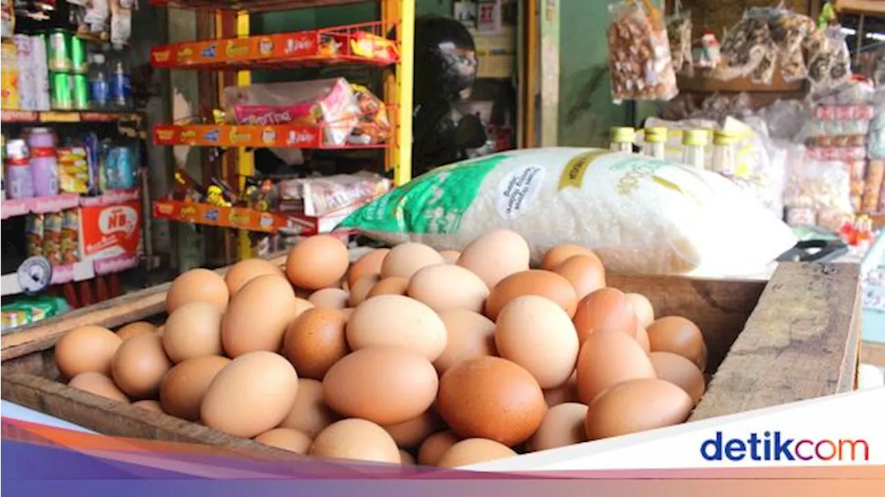 Harga Telur Ayam Ras Tembus Rp 30 Ribu per Kg