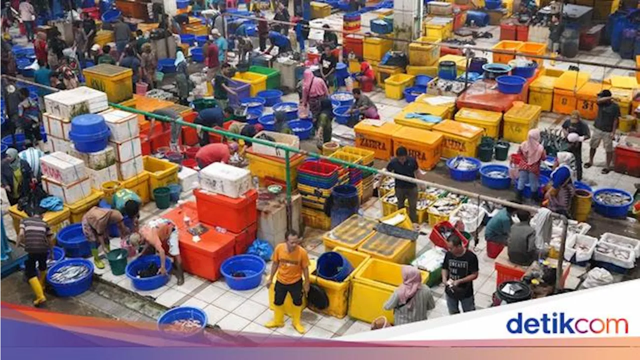 KKP Jamin Pasokan Ikan Aman & Harga Stabil sampai Akhir Tahun