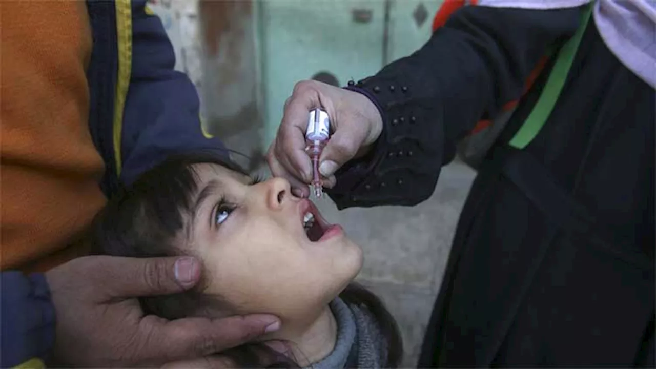 Two new polio cases reported as 2024 tally surges to 67 in Pakistan