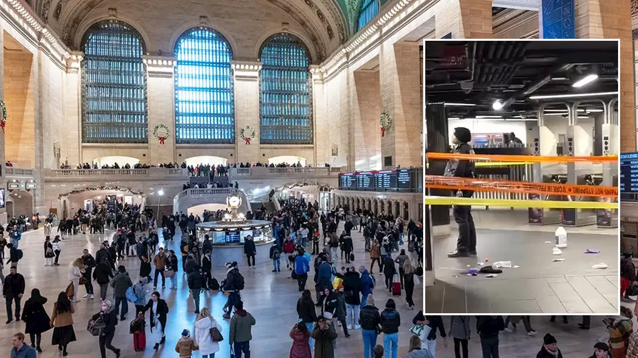 Suspect Arrested After Random Stabbing Spree at Grand Central Subway Station