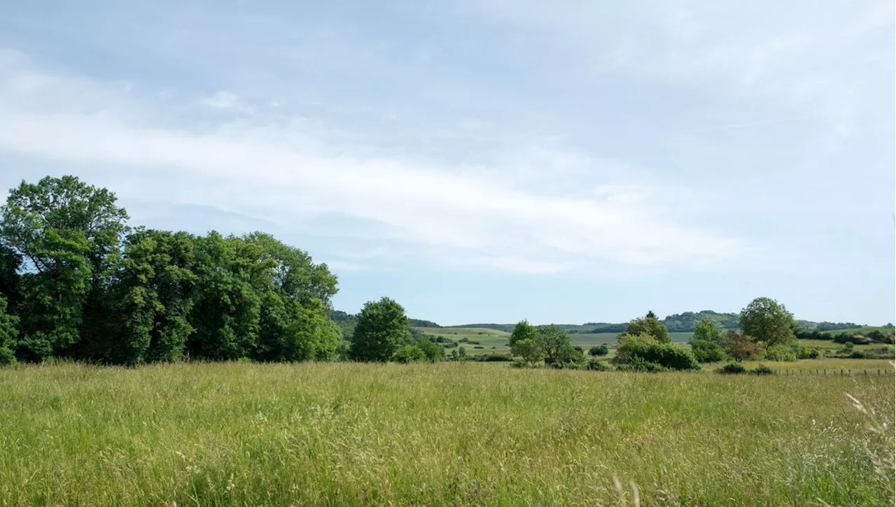 Pollution aux microplastiques : les sols français massivement contaminés