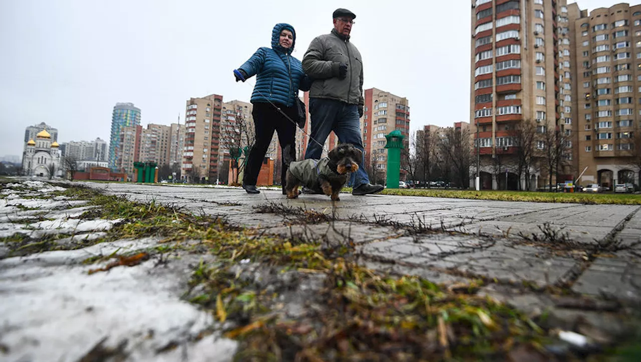 Температура в России будет выше нормы до конца года