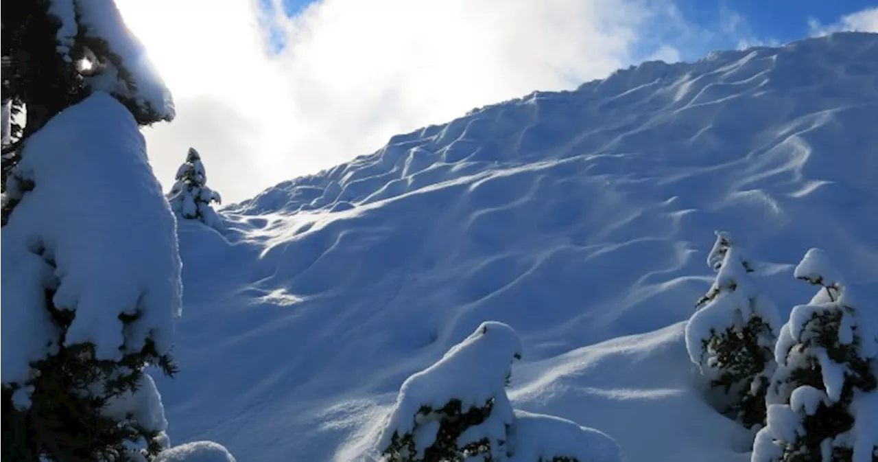 B.C. storm raises avalanche risk, cancels ferries, causes blackouts on south coast