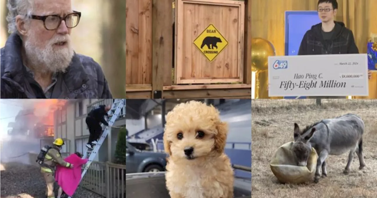 Global BC’s top YouTube videos and shorts of 2024