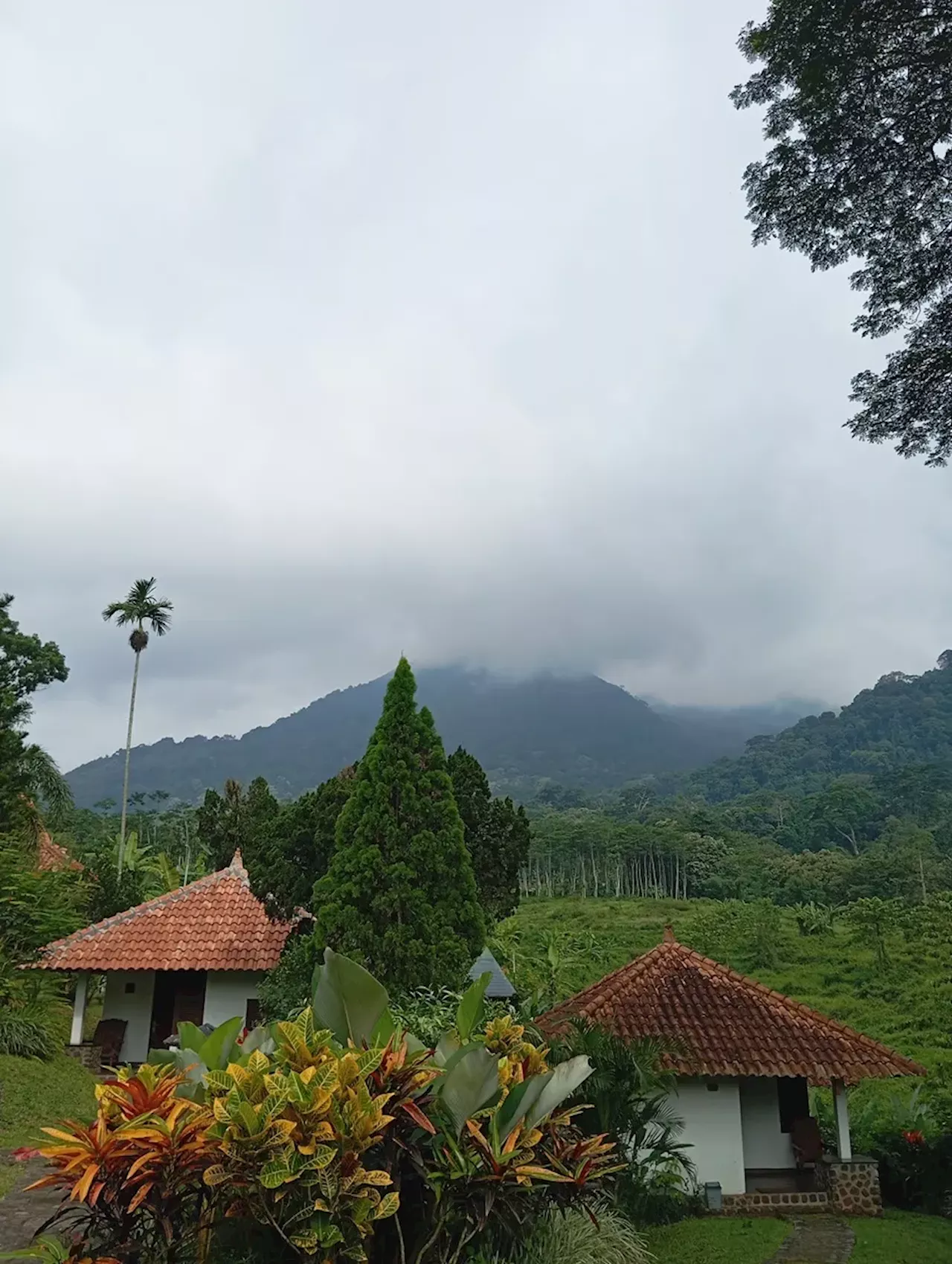 Panorama Menenangkan Gunung Penanggungan di PPLH Seloliman