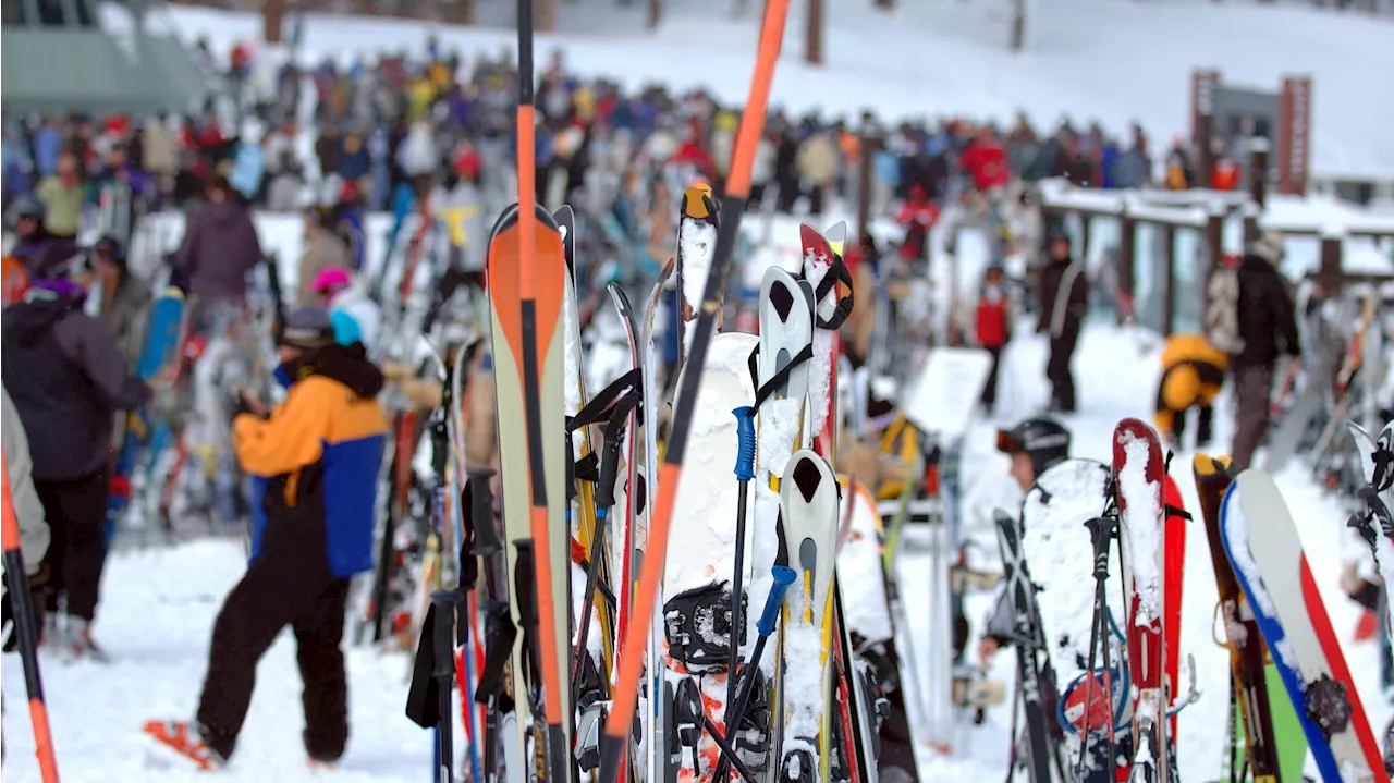 Tolle Zusatzleistungen? - Staatssekretärin schwärmt von Boni im Tourismus