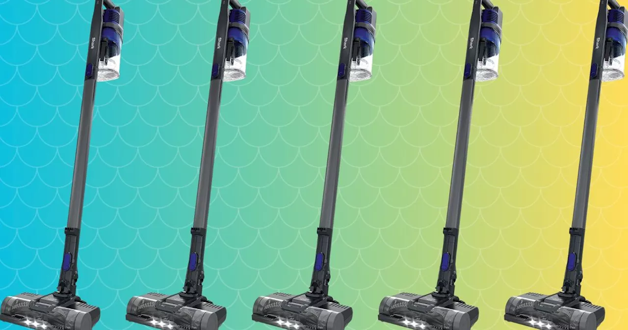 This Shark Vacuum Is a Dyson Alternative