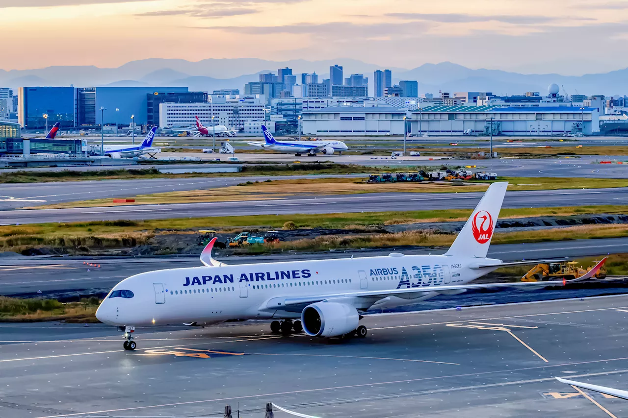 Japan Airlines cyberattack may cause flight delays, follows series of recent cyber incidents in Japan