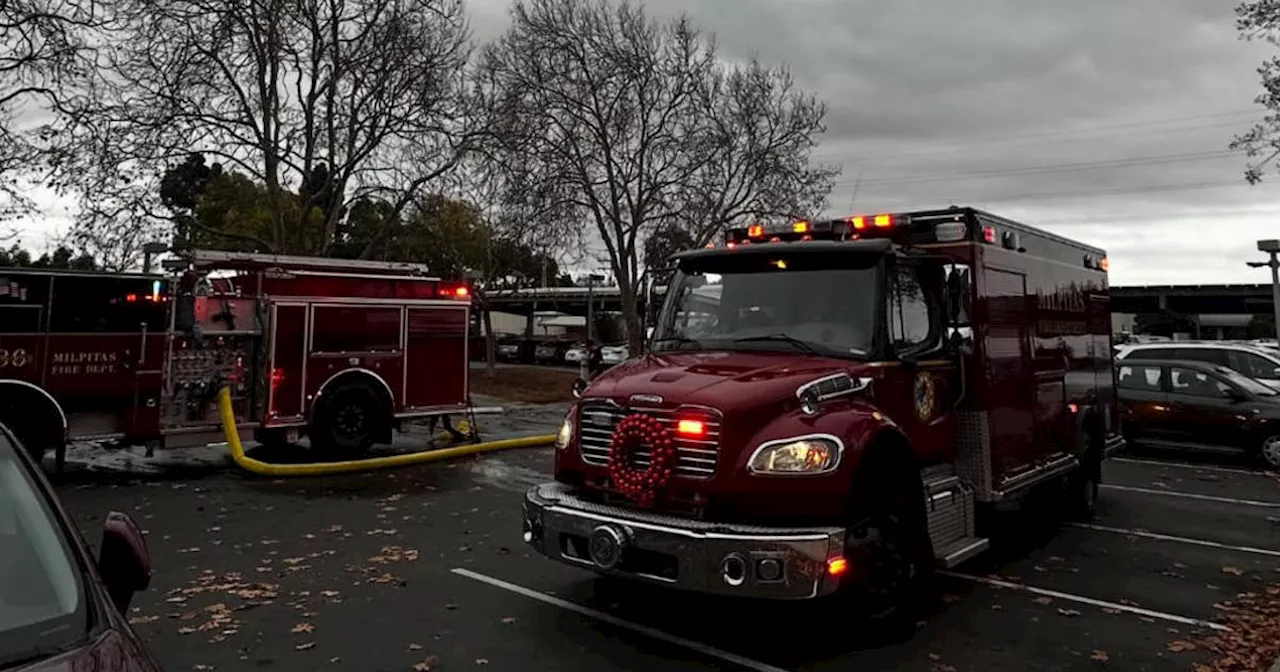 Humane Society of Silicon Valley waives adoption fees after shelter damaged in fire