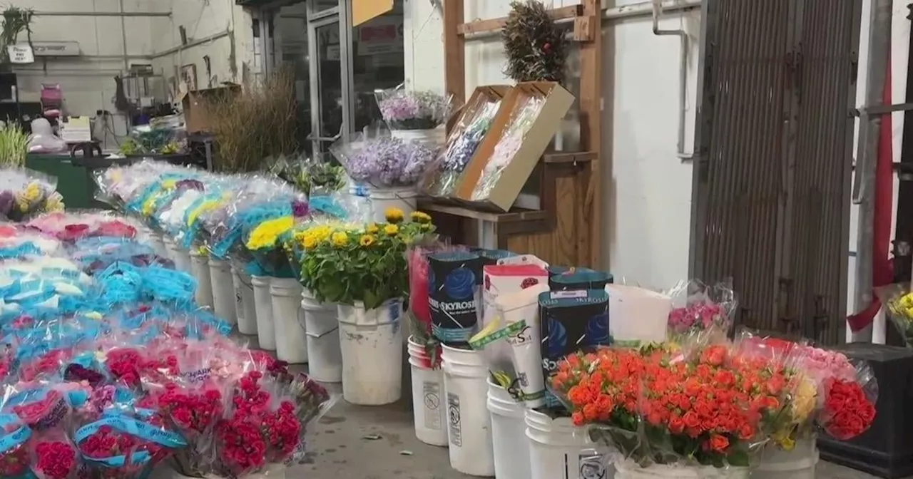 San Francisco Flower Market bids farewell to SoMa location after nearly 70 years