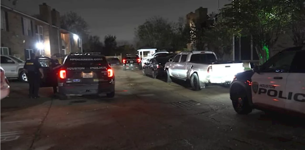 7-Year-Old Shoots Himself in Arm After Adult Drops Gun in Houston Apartment