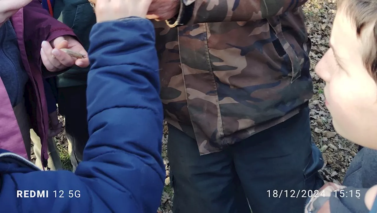 À l’Outil en main de Figeac, on apprend les gestes de la truffe