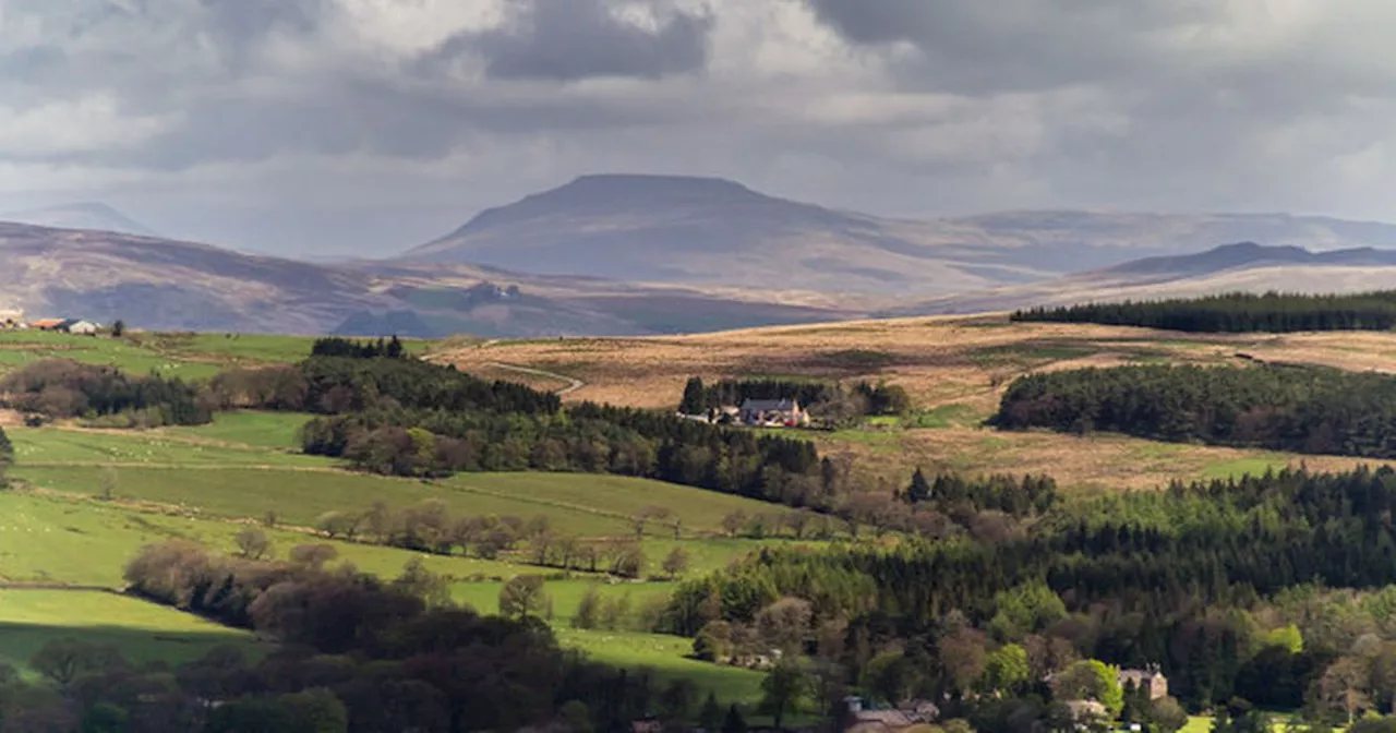 Top Walks in Lancashire for a Festive Family Outing