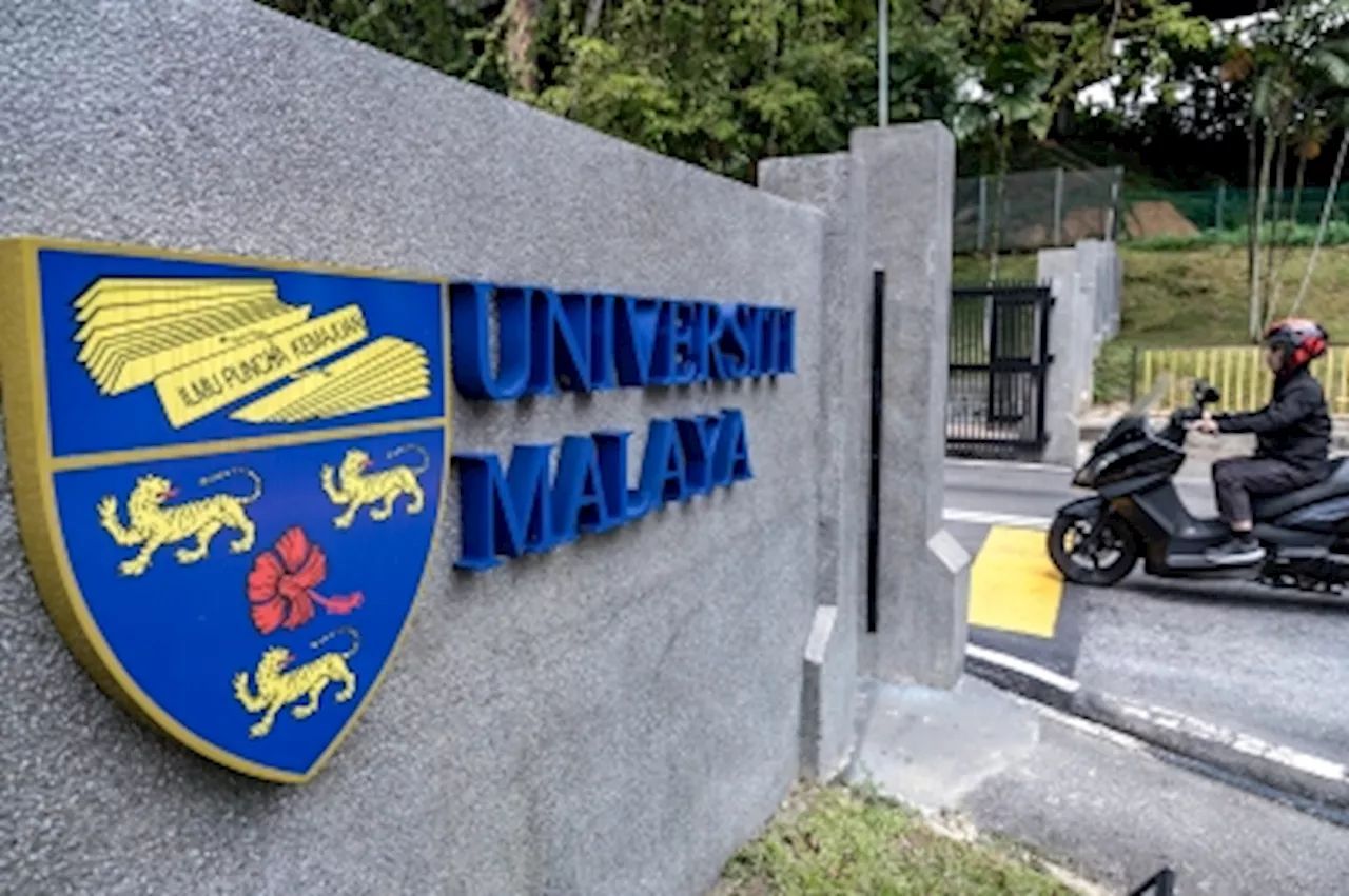 First cats, now dog found mutilated on Universiti Malaya’s campus grounds, police investigate gruesome killings