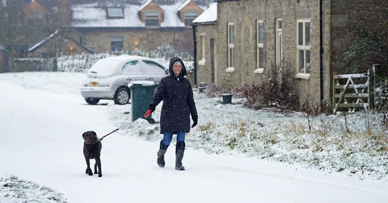 Expert says a Boxing Day walk can help avoid 'serious crash' at Christmas