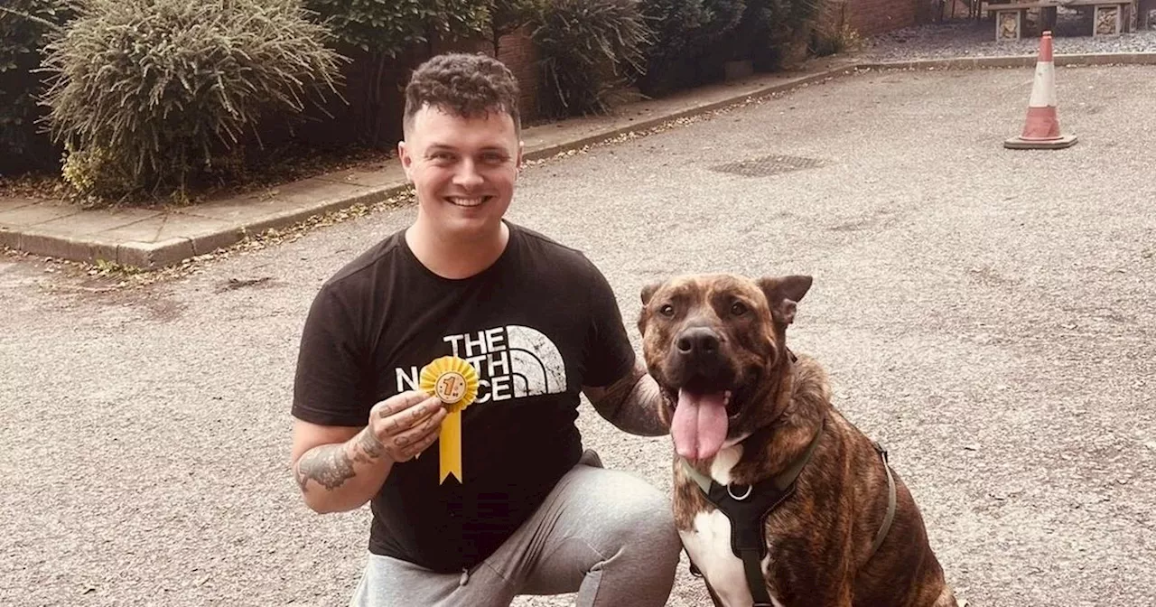 'I wanted to rescue a dog nobody else wanted, then he ended up rescuing me'