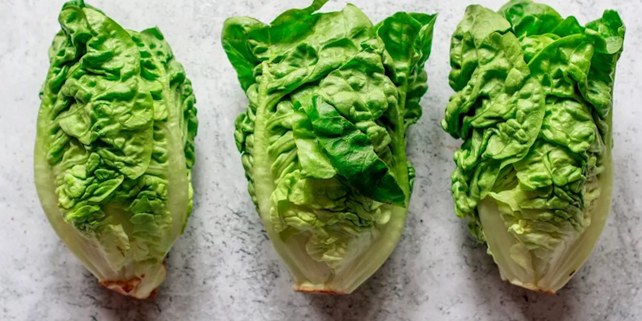 To Fall Asleep Faster, People Are Preparing Lettuce This Strange Way