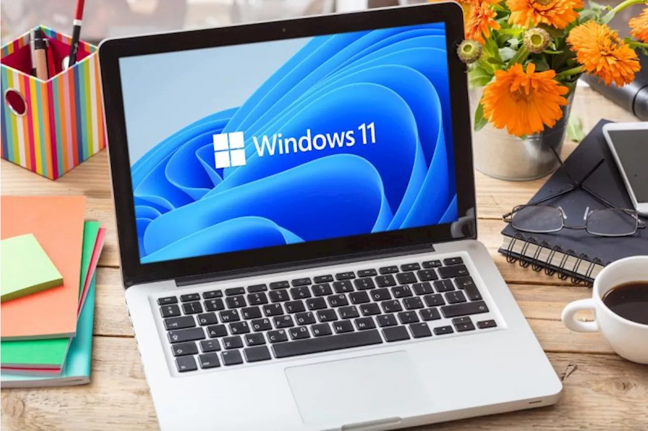 Microsoft Windows Dominates South African Desktop Operating System Market