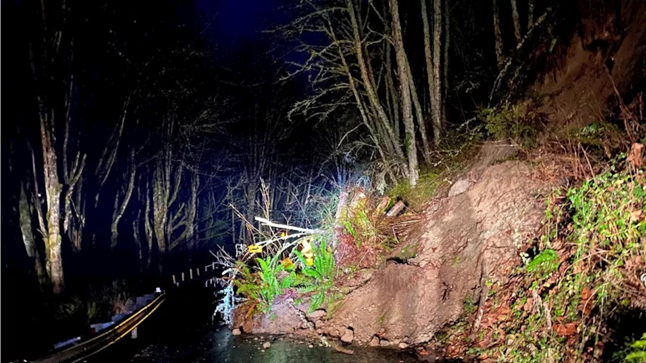 Landslide temporarily shuts down road to Pierce County park