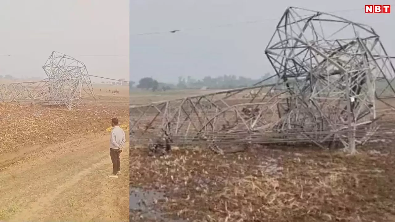 सीधी में हादसा! शिफ्टिंग के दौरान मजदूरों पर कहर बनकर गिरा 70 फीट ऊंचा हाई टेंशन लाइन का टावर, 4 की मौत कई घायल