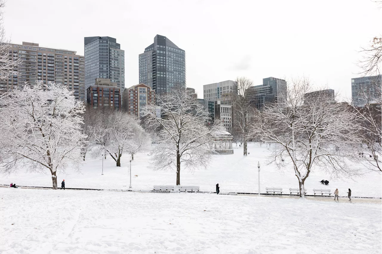 Winter Storm Warnings Issued Across US Northwest