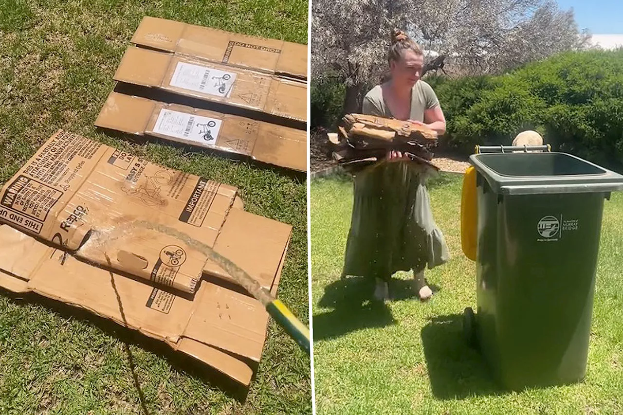 Have piles of boxes after the holidays? Tiktok tip slammed for 'recycling harm'