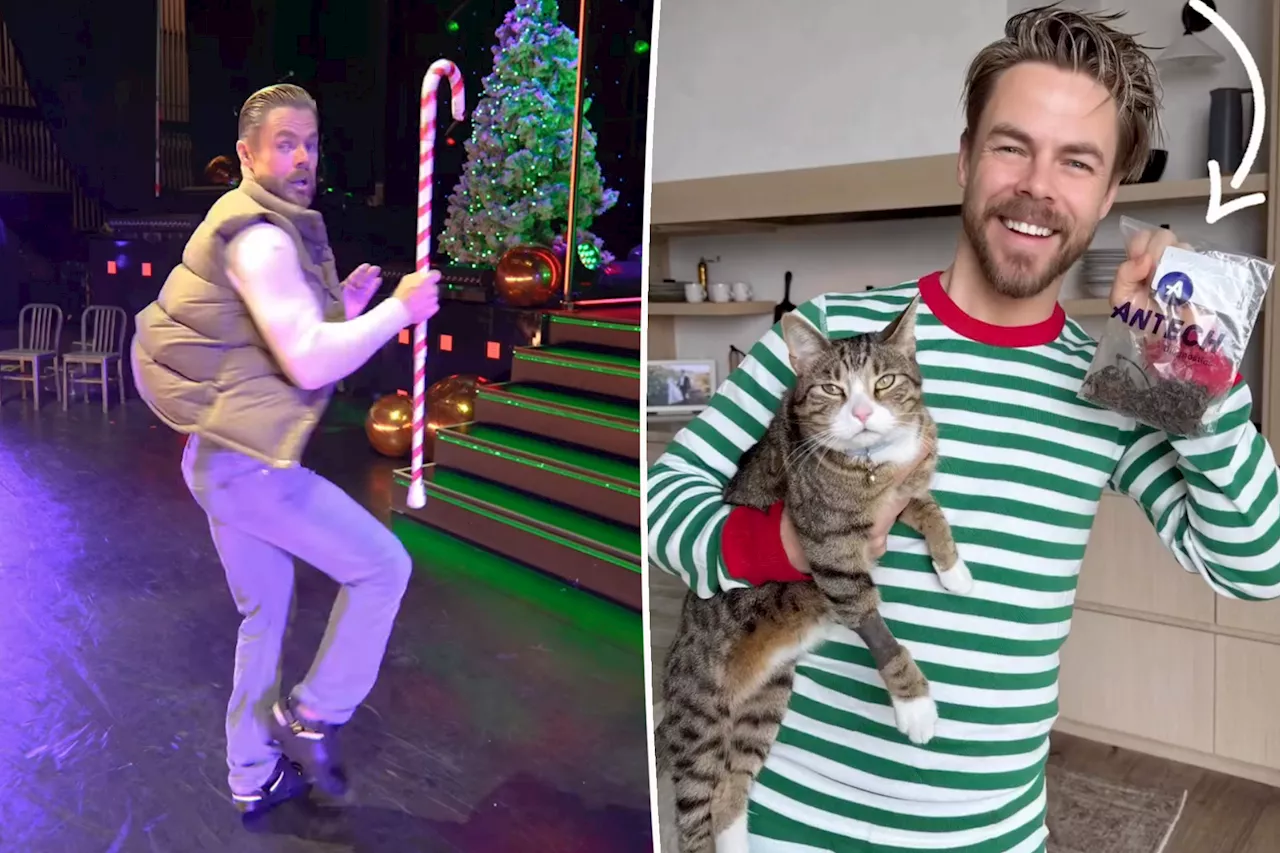 Derek Hough's drops $8K on massive vet bill for his cat's Christmas health scare