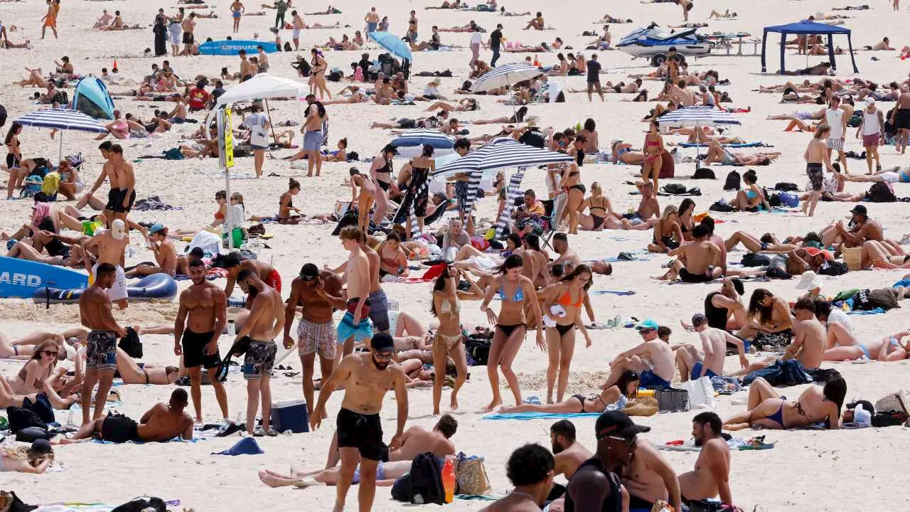 Sydney on alert with total fire ban in place ahead of scorching summer’s day