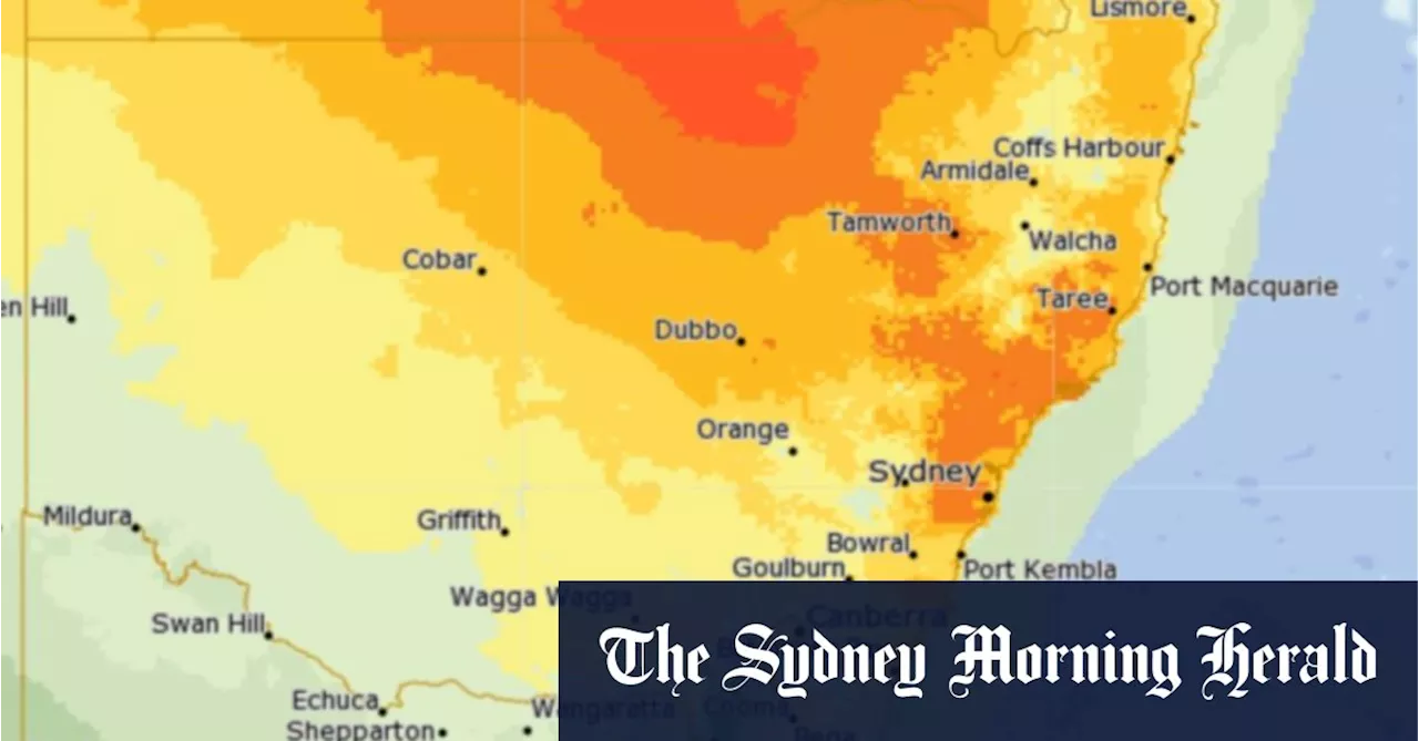 Sydney to Sizzle in 37-Degree Heat Before Cooler New Year's Eve