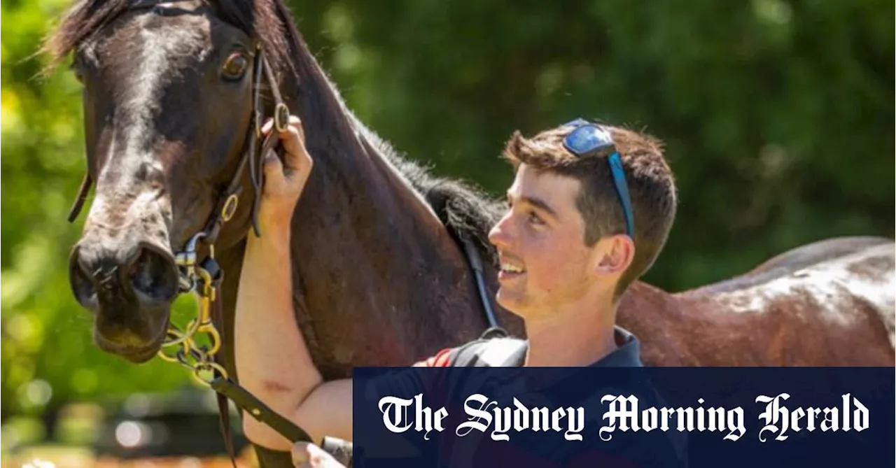 Young Trainer Angus Stewart Eyes Maiden Win at Randwick