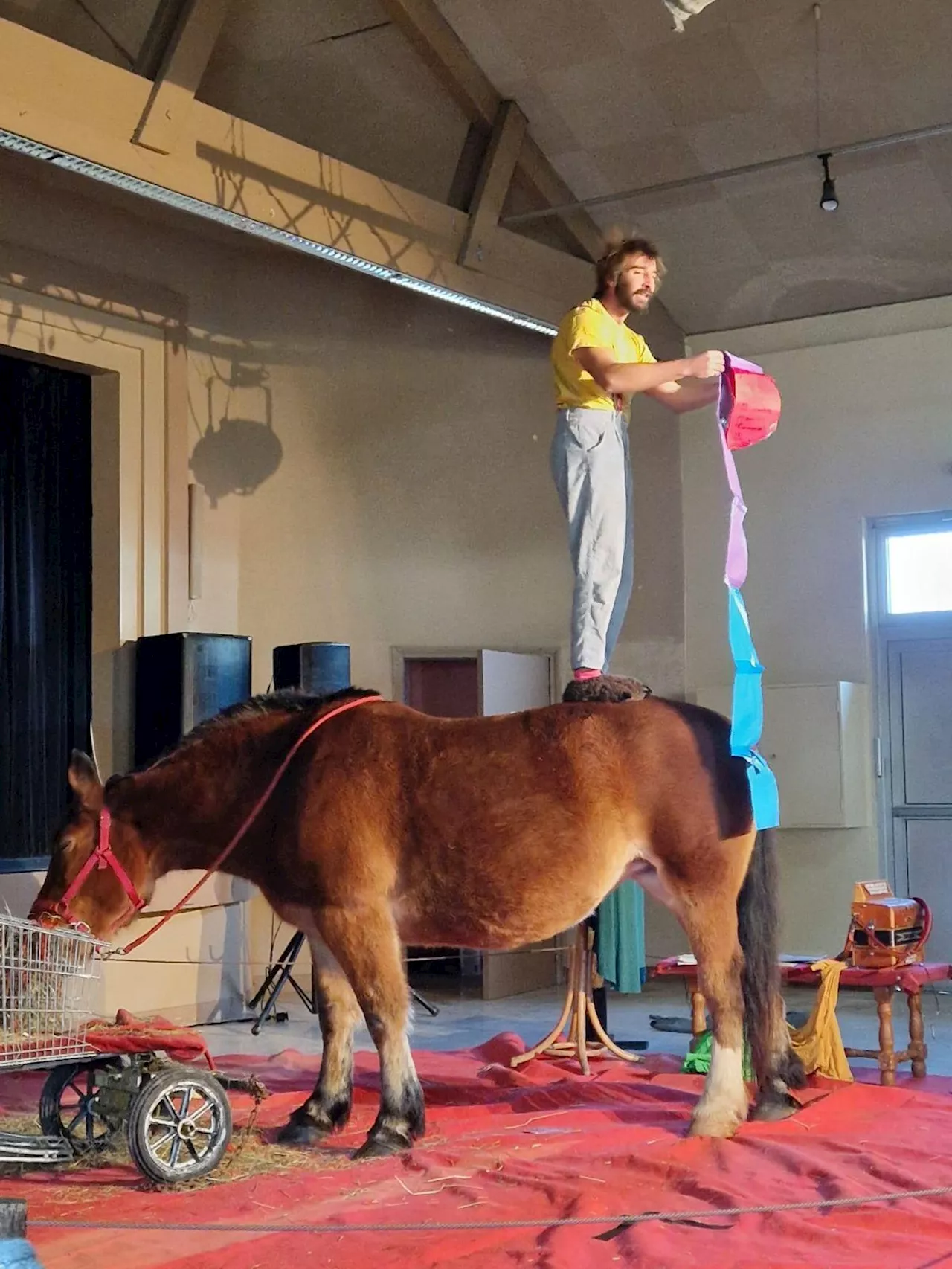 Saint-Médard-de-Guizières : le comédien a partagé la scène avec un poney et un cheval