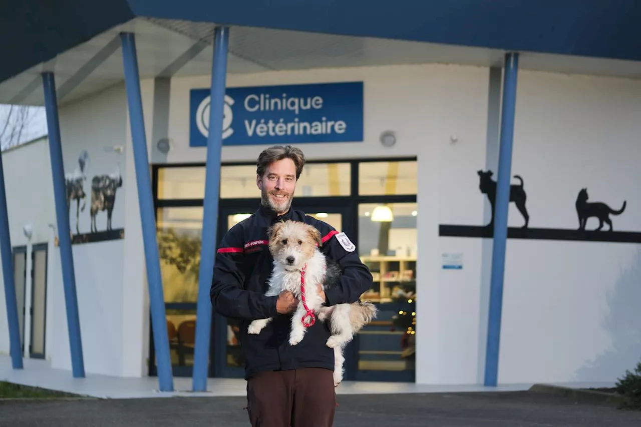 Véto-Pompier des Landes : Nicolas Mirabaud, entre deux missions