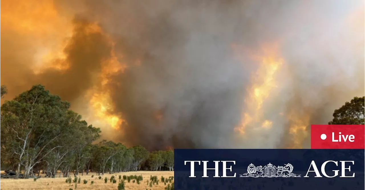 Victoria Bushfires: Devastating Conditions Threaten Towns