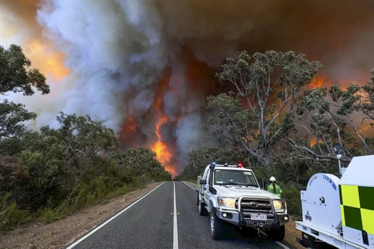 Wildfire warnings issued in southeastern Australia