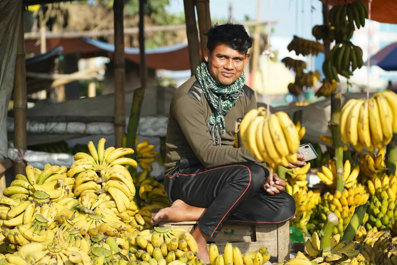 India Leads the World in Banana Production