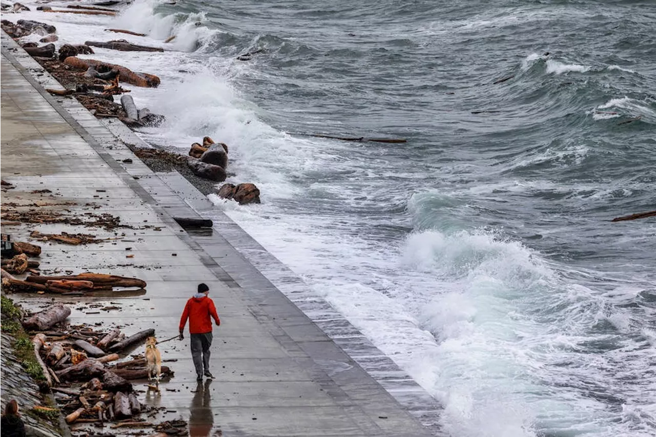 Thousands on Vancouver Island Lose Power in Christmas Day Storm