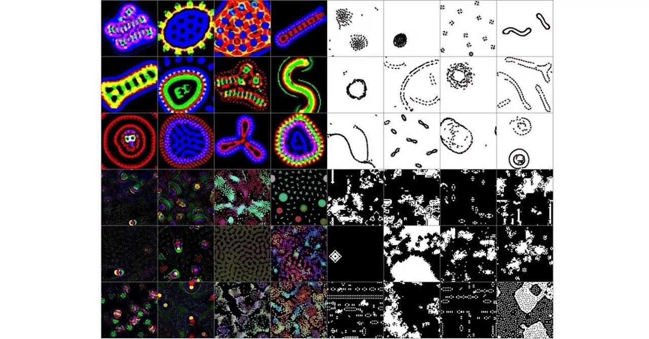 人工生命の探索を自動化する新しいシステムASAL