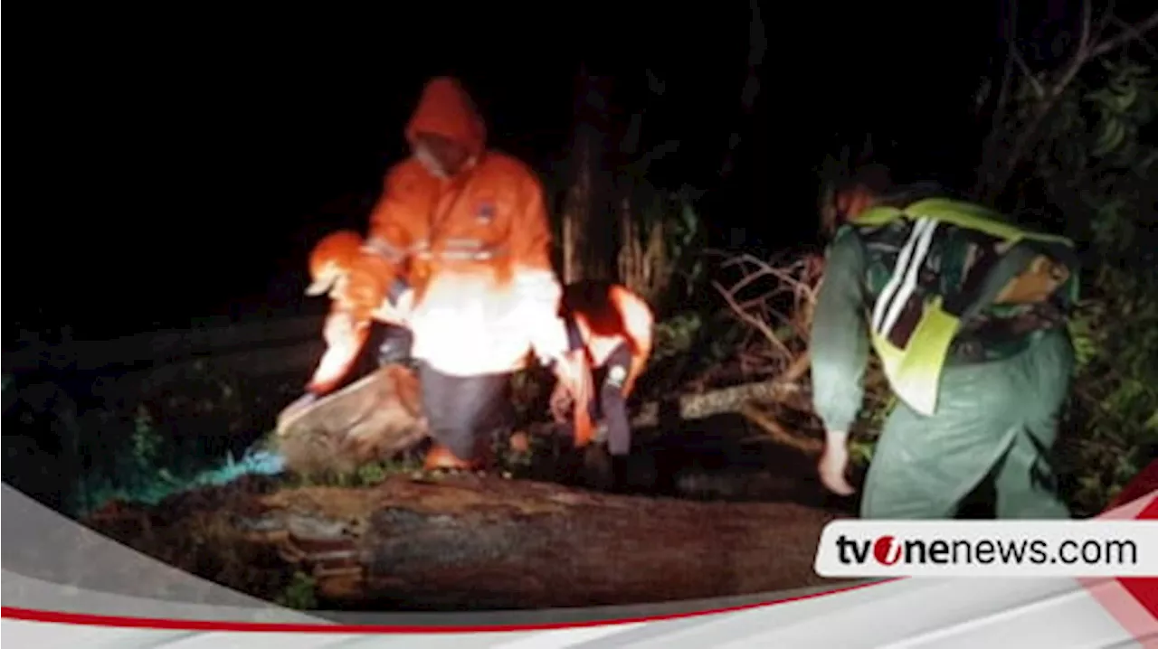 Puluhan Bangunan Rusak Akibat Hujan Deras Disertai Angin Kencang di Pamekasan Jawa Timur