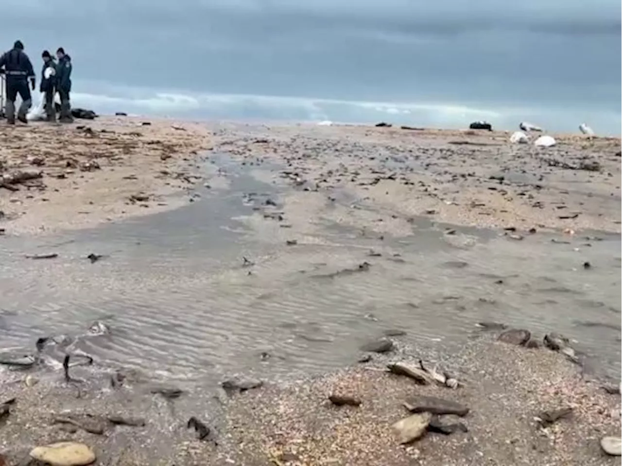 Moskau erklärt Notstand wegen Ölpest am Schwarzen Meer