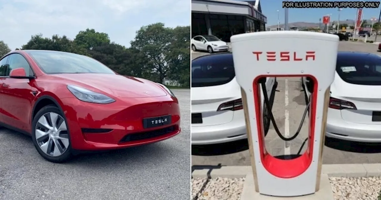 Tesla Named Most Dangerous Car Brand in the US