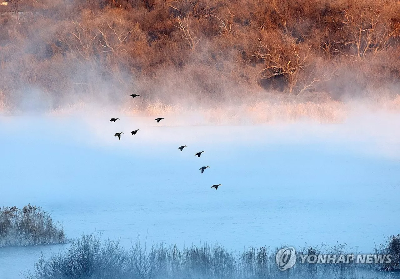 강원 내륙·산지 곳곳 아침 최저기온 영하 10도 아래, 주말 동안 눈 내림