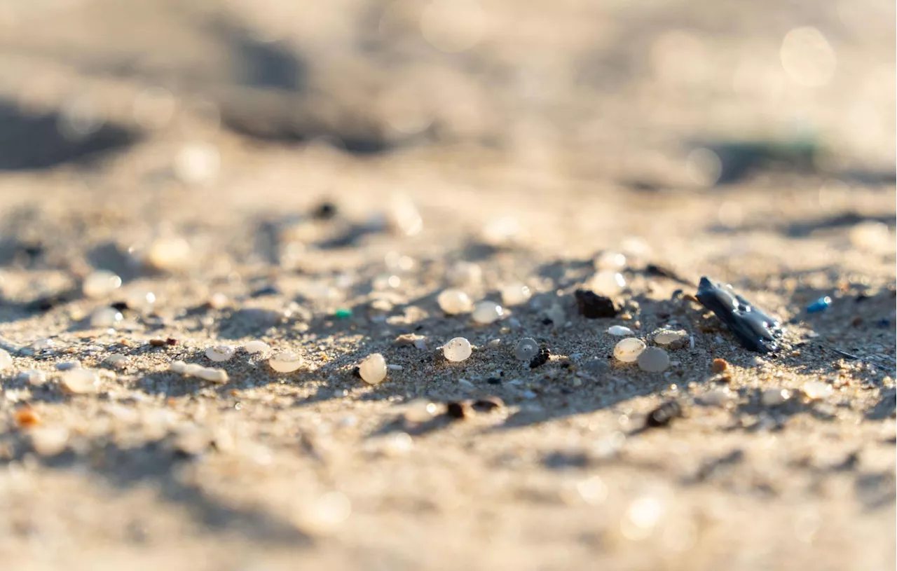 Les microplastiques, une contamination généralisée des sols français